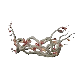 Yule Crown of Winter