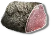 Dickfell-Kadaverstück