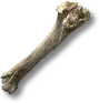 Beast Bone