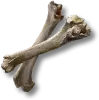 Premium Beast Bone
