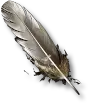 Vulture Feather