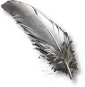Ostrich Feather