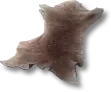Premium Beast Hide