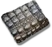 Alligator Skin