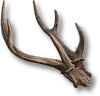 Sharp Horn