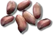 Peanut Seed