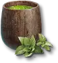 Mint Water