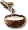 수액