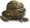 Feces