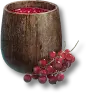 Juice