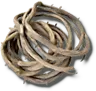 Vine