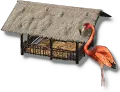 Flamingo-Gehege