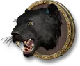 Jaguar Specimen