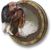 Vulture Specimen