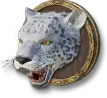 Snow Leopard Specimen