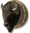 Bison Specimen