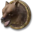 Brown Bear Specimen