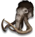 Titan-Mammut-Schädel