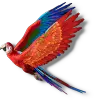 オウム