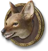 Jackal Specimen