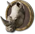 Rhino Specimen