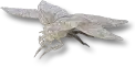 Crystal Onyx Scarab