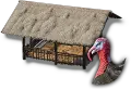 七面鳥小屋