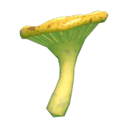 Crucible Alien Mushroom Chunk