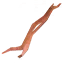 무스 힘줄