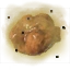 Ooze