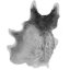 Wolf Pelt