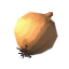 Onion