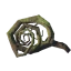 Root