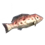 Grouper
