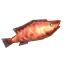 Coral Cod