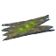 Ancient Bark