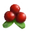 Lingonberries