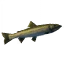 Pike