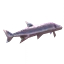 Tetra