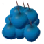 Blueberries
