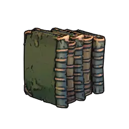 Row of Books