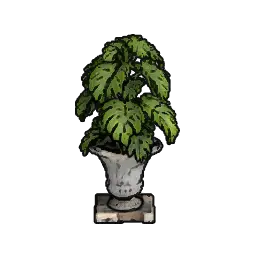 植物の鉢