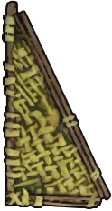 三角壁（葉）