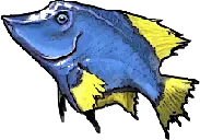 Chirurgien bleu