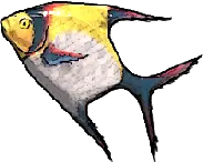 Poisson-ange demi-lune