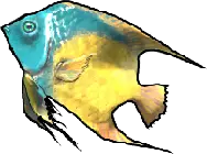 Reine poisson-ange