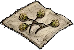 Shrub Seeds