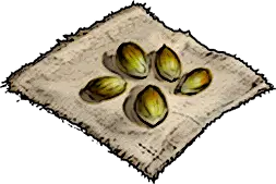 Lime Seeds